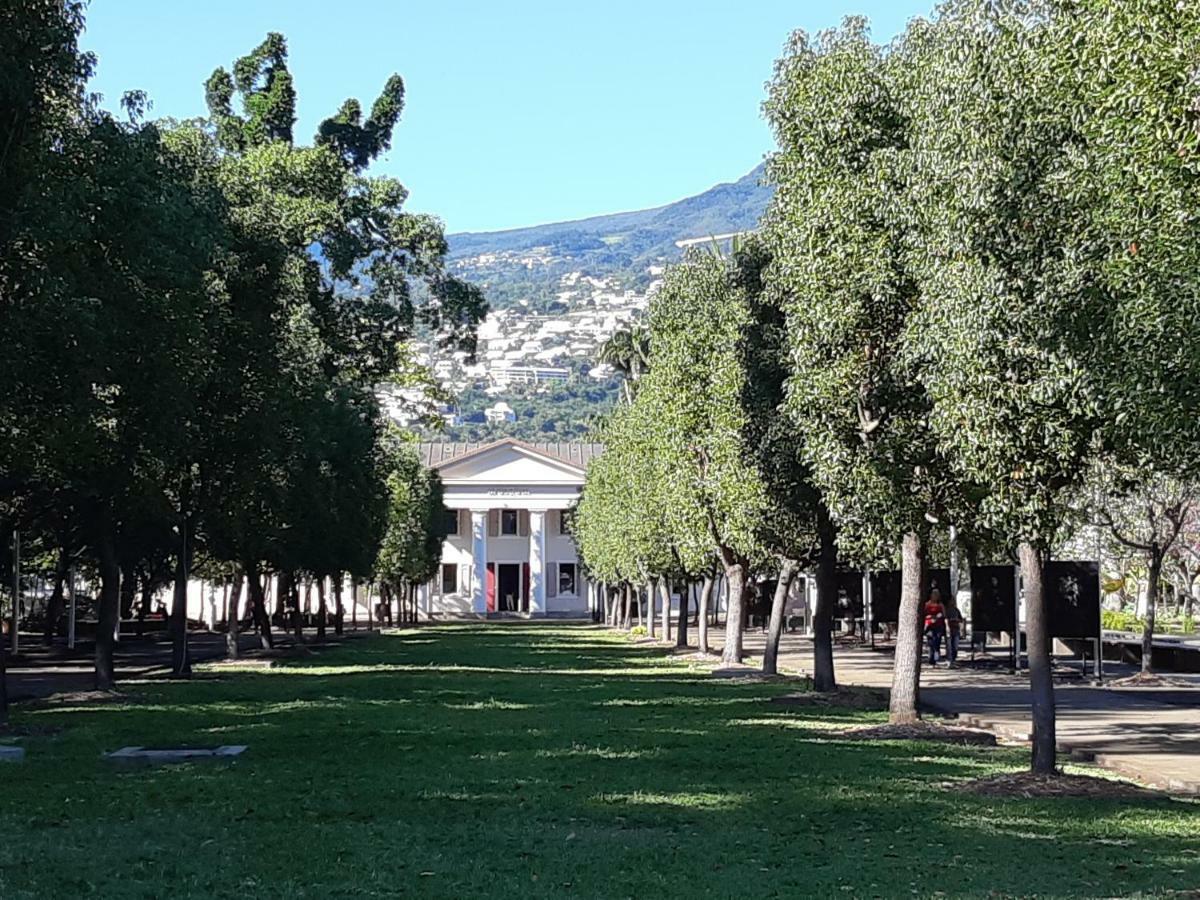 Appartamento L'Escale Des Palmiers Saint-Denis Esterno foto